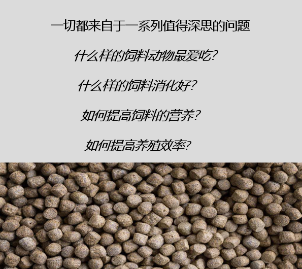 關(guān)于飼料生產(chǎn)的熟化工藝，以及保持器/保質(zhì)器的應(yīng)用解析